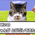 「やせいのねこがあらわれた！」猫と一緒に茶番劇♪リキモンGETだぜ！