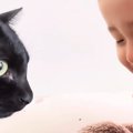 赤ちゃんのことが大好きな猫→いつもそばにいて…あまりにも尊い『相思相愛…
