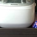 ふと『炊飯器』を見たら→『猫』が炊けていて……思わず笑ってしまう『シュー…
