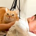 赤ちゃんのお世話をするパパ→猫が心配そうに近づいてきて…『思いやりにあ…
