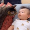 猫と赤ちゃんの出会いから１年…共に『成長していく様子』が素敵すぎる…