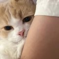 抱っこされている猫の『前足の動き』に胸がギュッ…大好きなパパへの『…