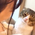 大好きなママが帰ってきて『嬉しくて仕方がない猫』…どこまでも後をついて…