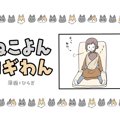 ねこよんコギわん【第4話】「そこに入る?!」