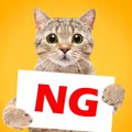 猫にとって最悪な『飼い主のNG習慣』5つ　健康への被害があることも