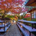 猫好きにはたまらない『猫にまつわる聖地』8選　猫島や神社など魅力あ…
