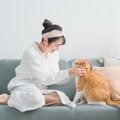 『神経質な猫』に見られる5つの特徴　飼い主が意識すべき接し方も解説