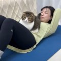 ママが筋トレを始めると…『猫がサポート』する光景が面白すぎると6万4…