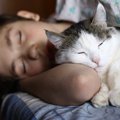 お願いだから寝て…愛猫を『上手に寝かしつける5つの方法』夜寝てくれ…