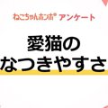 【アンケート実施中！】愛猫の「なつきやすさ」についての意識調査