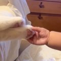 猫と赤ちゃんが１年近くともに生活した結果…尊すぎる『日々の記録』に感動…