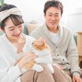 保護猫を迎えたい時、どこに行けばいい？場所ごとのメリットデメリッ…