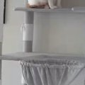 お客さんが来てパニックになった猫→とっさに『隠れた場所』が…まさか…