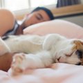 猫があなたに『心を許しきっている』3つのサイン　良好な関係をキープする…