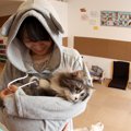 猫用ポケットの付いた服「ニャンガルパーカー」とは