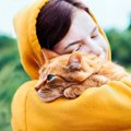 旅行中に空港で行方不明になった猫が、16日ぶりに発見され、無事に飼い主…