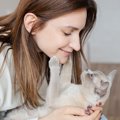 猫が『手を人の顔にもってくる』4つの理由　上手な対処法も解説！