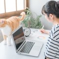 愛猫にとって『在宅ワーク』はストレス？気を付けるべき3つのポイント