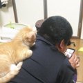 猫が抱きつきたくなる飼い主の特徴５つ