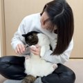 『男性を攻撃した猫』の武器を没収した結果…まさかの心を失ってしまう…