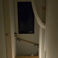 夜中に暗い廊下を歩いていたら、ネコが……思わず驚いた『ホラーすぎる瞬間…