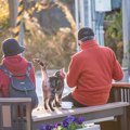 『猫と接すると、言語能力が維持される』高齢社会でのペットの効用を…