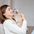 猫は『飼い主の体調不良』を察知できるの？寄り添ってくれる心理や仕草の…