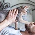 猫を『もっと理解できるようになる』3つの方法