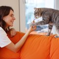 『人間大好き♡な猫』によく見られる4つの行動　人懐っこい子に育てる…