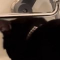 お風呂場にやってきた猫→『バスタブの縁』に立つと……可愛すぎる『まさかの…