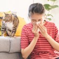 猫は「飼い主さんの体調不良がわかる」って本当？心配してくれている…