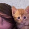 気づけばいつも一緒にいる『娘と子猫』…とんでもなく尊い『日常の光景』が…
