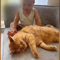 ソファでくつろぐ猫→赤ちゃんに絡まれた結果…思わず感動の『優しさ溢れる…