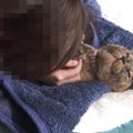 『猫吸いがやめられない飼い主』の行動…ひたすら吸われ続ける猫の様子…