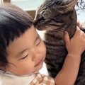 生まれたときからずっと一緒の『女の子と猫』…あまりにも尊いやり取りが89…