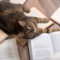 猫が登場する童話８選！お話のあらすじや登場人物