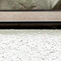 猫を連れて帰省→『実家にいる猫』と対面させた結果…予想外の『尊すぎ…