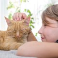 猫の飼い主が絶対守るべきこととは？5つのポイント