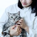 主、引くわー…愛猫が『飼い主に冷めてしまう』4つの原因　猫からの信…