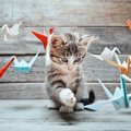 猫のマスコット５選！オススメ商品と手作りの方法