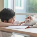 猫は『相手によって態度をコロコロ変える』4つの理由　好きな人、苦手な人…