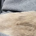トライアル中の保護猫→家に来てまだ『2日目』なのに…涙が出るほど尊い…