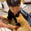 大好きな男の子に『甘える子猫』→予想外の場所でくつろぎ始めて…微笑…