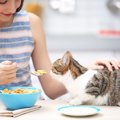 猫に「オレのご飯か！？」と勘違いされがちな人間の食べ物3選　食べるとき…