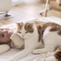 日に日に兄っぷりが上がる猫…赤ちゃんの活発な動きも穏やかに見守る姿…