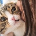 ママが『猫吸い』しまくった結果…魂が抜けてしまう様子が面白すぎると…