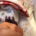ベッドで横になる『生まれたばかりの赤ちゃん』→２匹の猫が近づいてく…