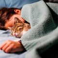 愛猫との『添い寝』に潜む注意点4選　ケガや感染症の原因になることも