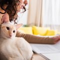 猫との暮らしでやるべき『公的な手続き』4選　違反をした際の罰則が設…