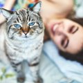 猫の『体内時計』が正確なのはナゼ？驚きの5つの秘密とは…